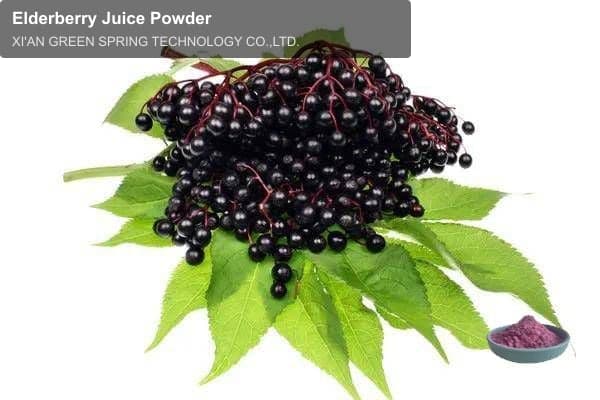 Elderberry Juice Powder