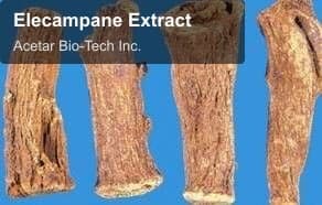 Elecampane Extract