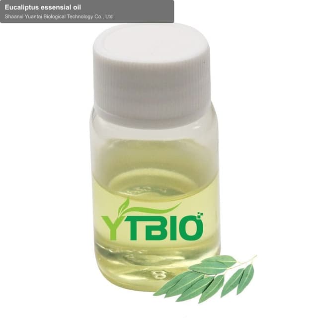Eucaliptus essensial oil