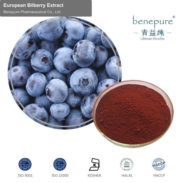 European Bilberry Extract