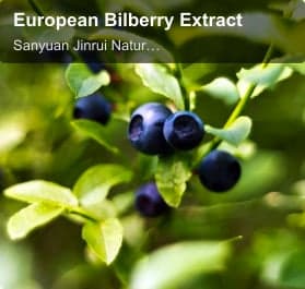European Bilberry Extract