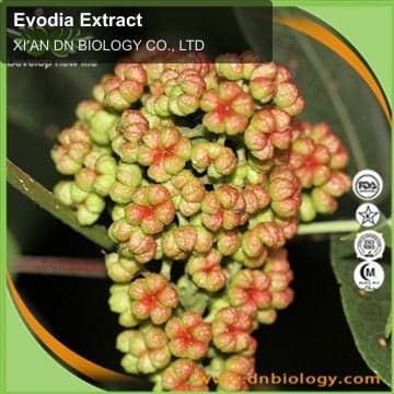 Evodia Extract