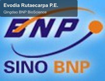 Evodia Rutaecarpa P.E.