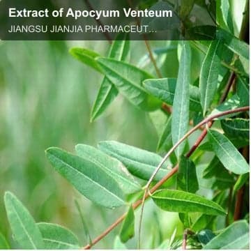 Extract of Apocyum Venteum