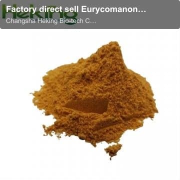 Factory direct sell Eurycomanone extract 1%~12%