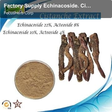 Factory Supply Echinacoside. Cistanche tubulosa Extract Powder