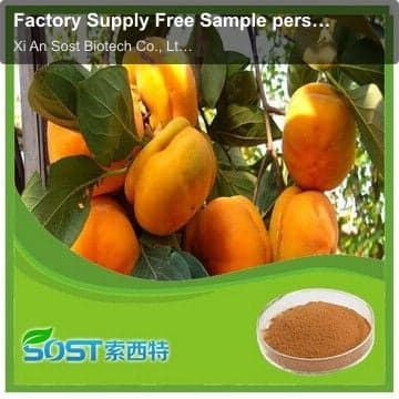 Factory Supply Free Sample persimmon extract powder