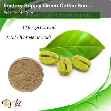 Factory Supply Green Coffee Bean extract