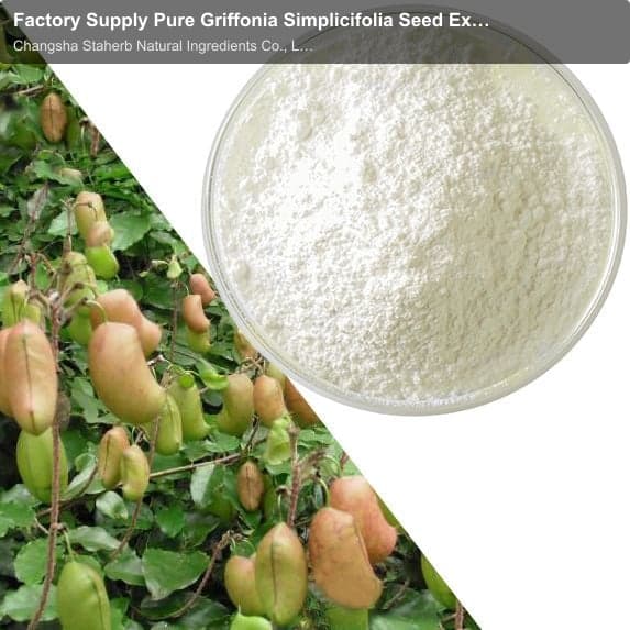 Factory Supply Pure Griffonia Simplicifolia Seed Extract 5-HTP Powder