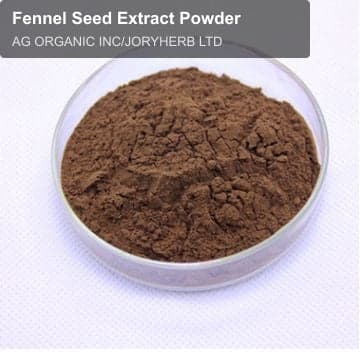 Fennel Seed Extract Powder