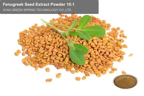 Fenugreek Seed Extract Powder 10:1