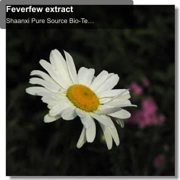 Feverfew extract