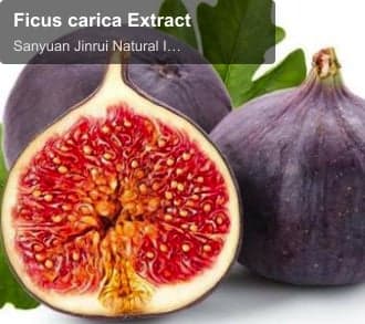 Ficus carica Extract