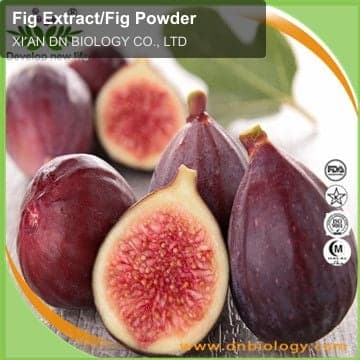 Fig Extract/Fig Powder