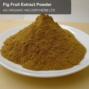 Fig Fruit Extract Powder