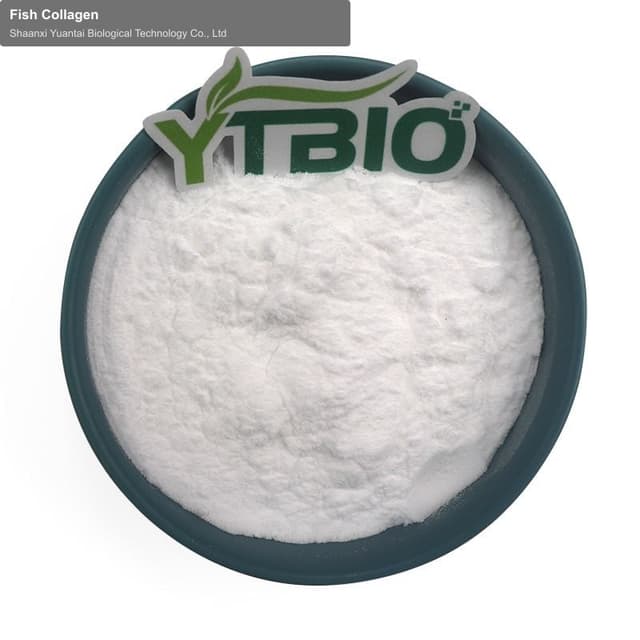 Fish Collagen