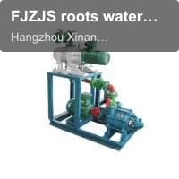 FJZJS roots water-ring vacuum unit set