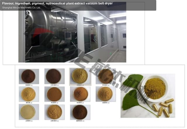 Flavour, ingredient, pigment, nutraceutical plant extract vacuum belt dryer