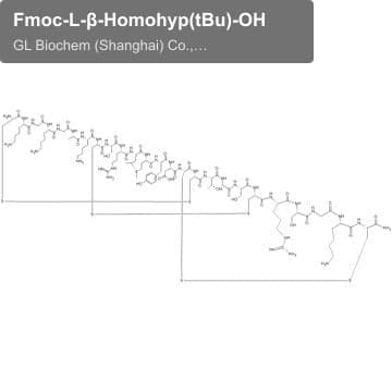 Fmoc-L-β-Homohyp(tBu)-OH