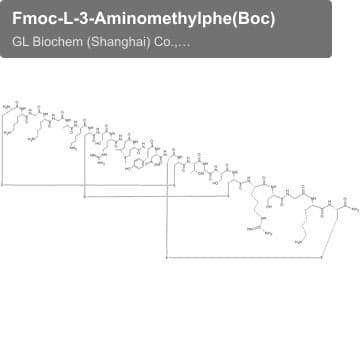 Fmoc-L-3-Aminomethylphe(Boc)