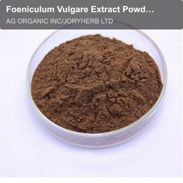 Foeniculum Vulgare Extract Powder10:1