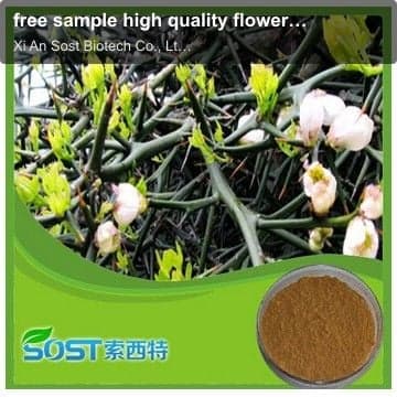 free sample high quality flower extract of crown of thorns