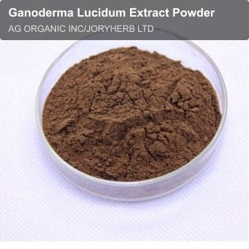 Ganoderma Lucidum Extract Powder