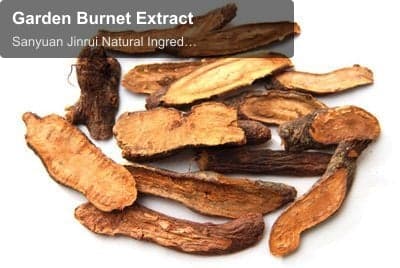 Garden Burnet Extract
