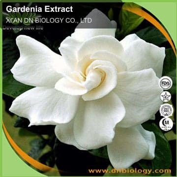 Gardenia Extract