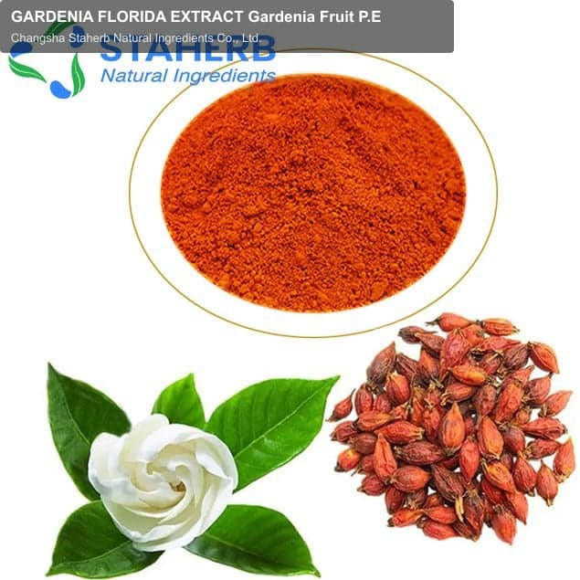 GARDENIA FLORIDA EXTRACT Gardenia Fruit P.E