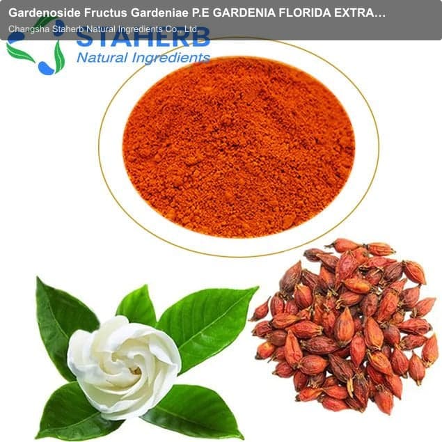 Gardenoside Fructus Gardeniae P.E GARDENIA FLORIDA EXTRACT Gardenia Fruit P.E