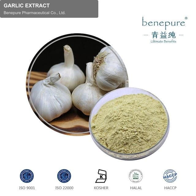 GARLIC EXTRACT