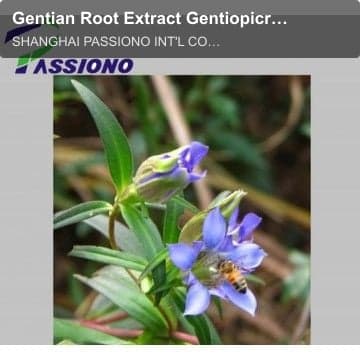 Gentian Root Extract Gentiopicrin 5%