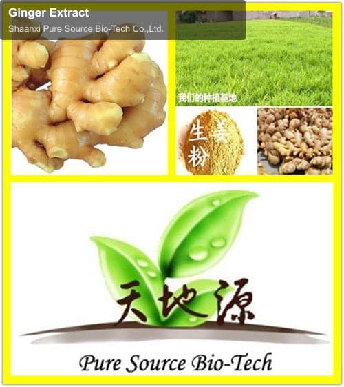 Ginger Extract