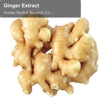 Ginger Extract
