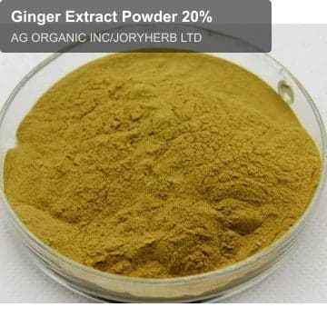 Ginger Extract Powder 20%