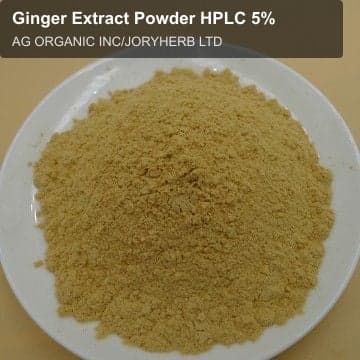 Ginger Extract Powder HPLC 5%