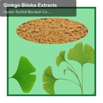 Ginkgo Biloba Extracts