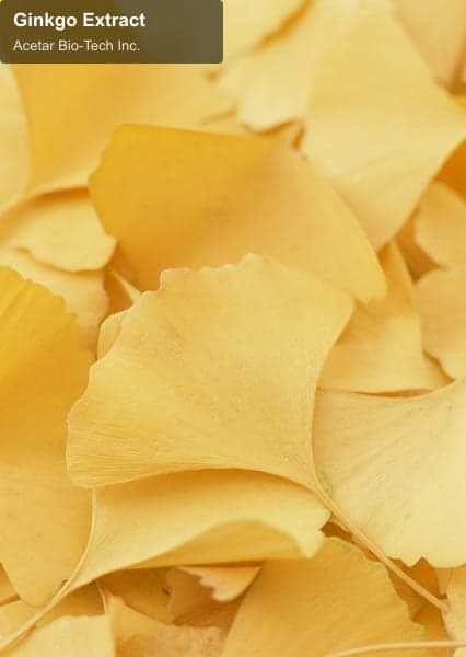 Ginkgo Extract