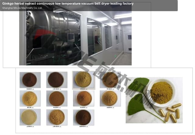 Ginkgo herbal extract continuous low temperature vacuum belt dryer leading factory