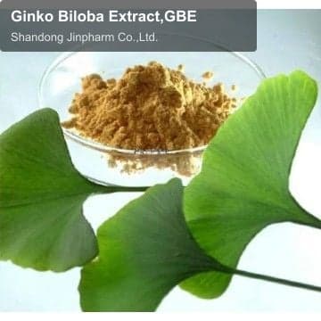 Ginko Biloba Extract,GBE