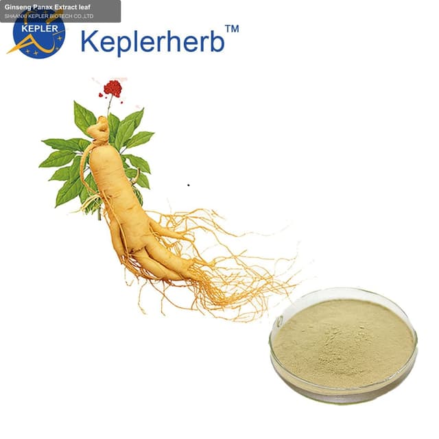 Ginseng Panax Extract leaf