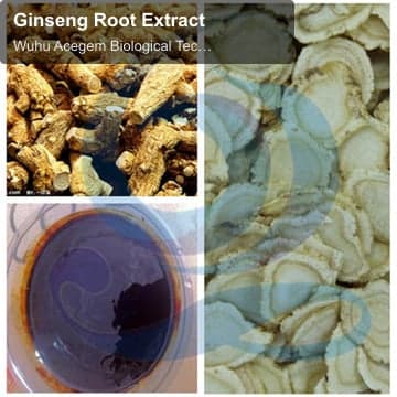 Ginseng Root Extract