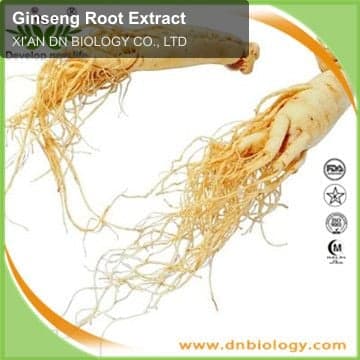 Ginseng Root Extract