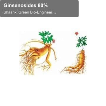Ginsenosides 80%