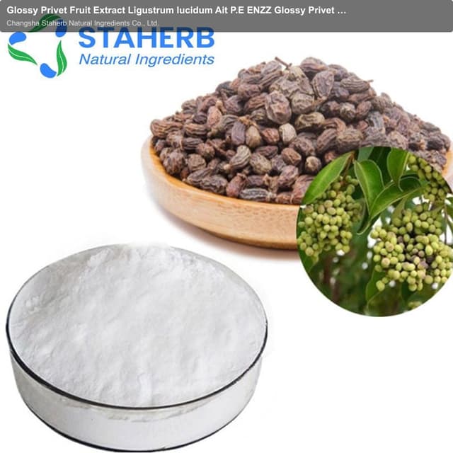Glossy Privet Fruit Extract Ligustrum lucidum Ait P.E ENZZ Glossy Privet P.E