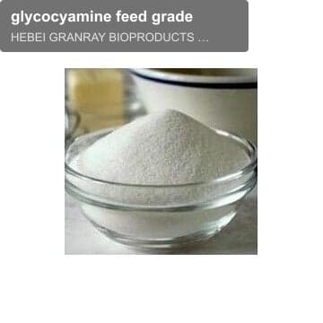 glycocyamine feed grade