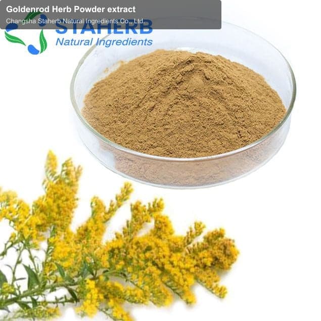Goldenrod Herb Powder extract