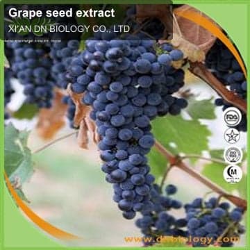 Grape seed extract