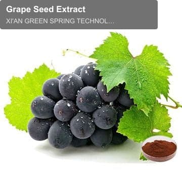 Grape Seed Extract